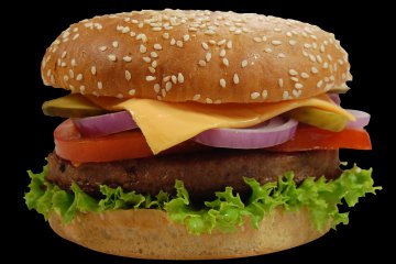 Cheese Hamburger